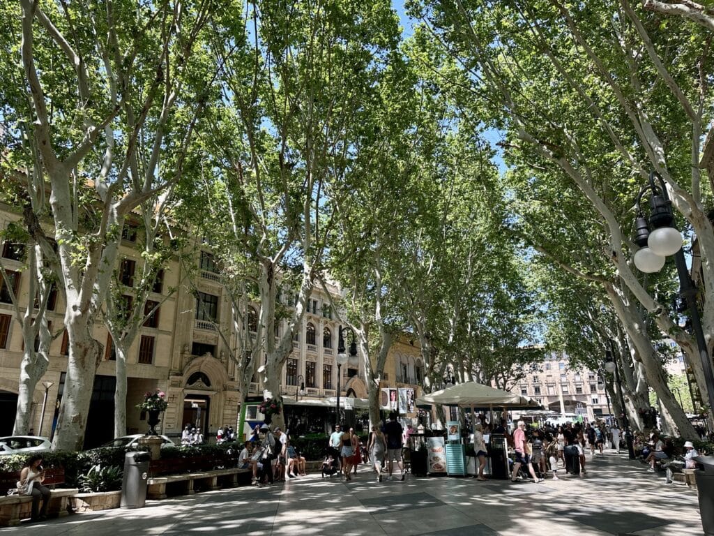 Wealth Tax 2025: aprovechar el viento fiscal a favor comprando patrimonio en las Islas Baleares