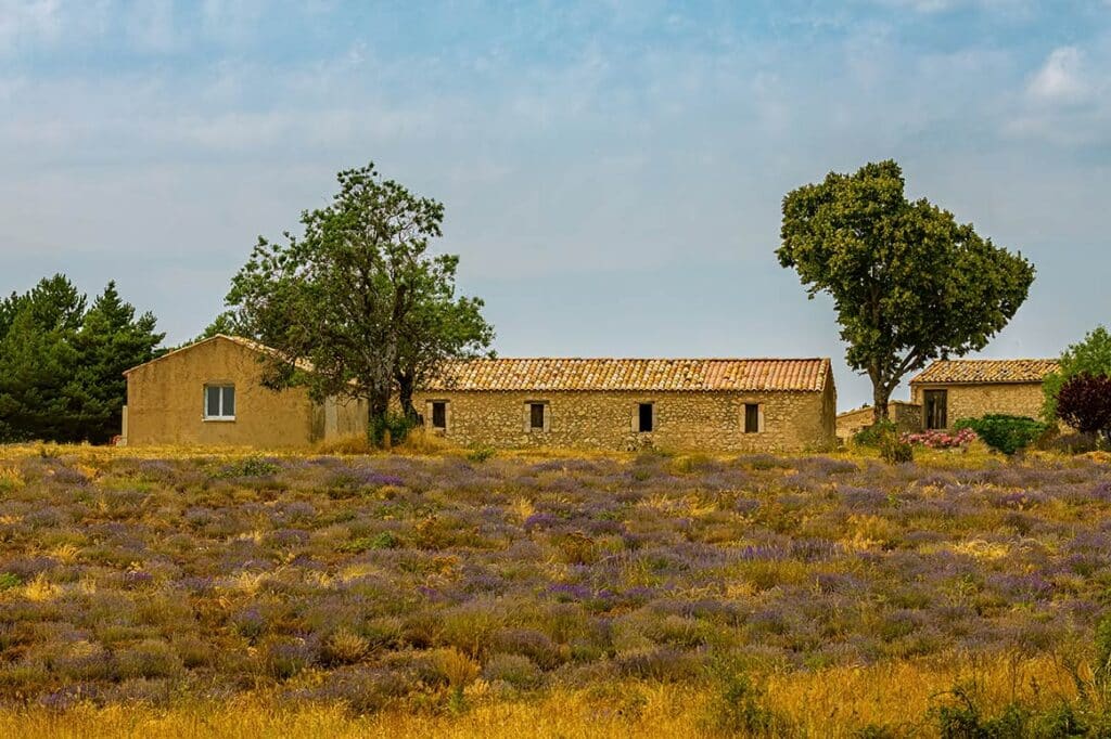 Suelos rústicos con potencial turístico y agroturismo: lo que sí y lo que no permite la normativa