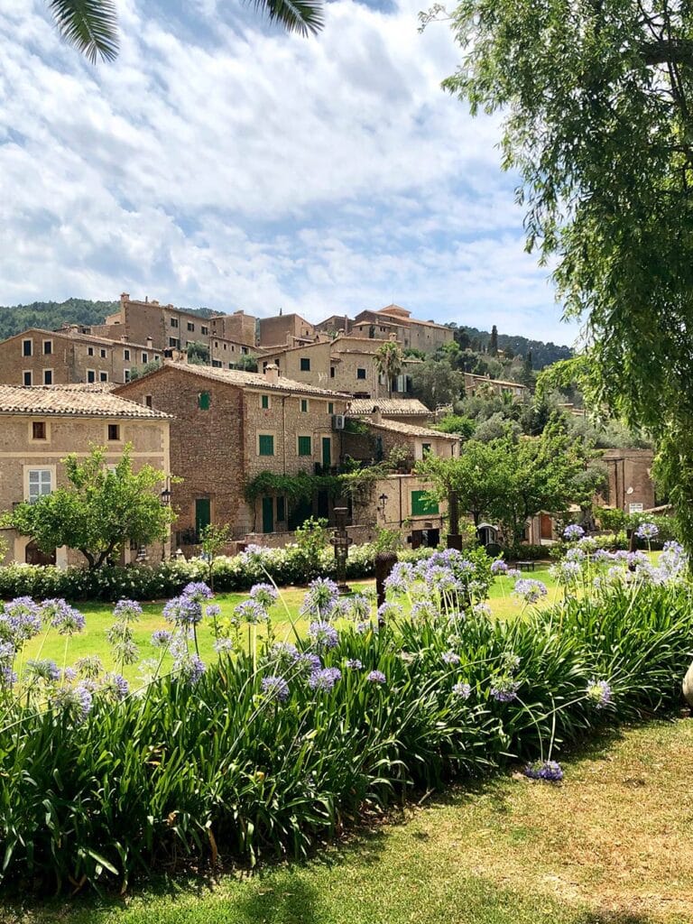 Fincas rústicas en Mallorca: el activo silencioso que gana valor cada año